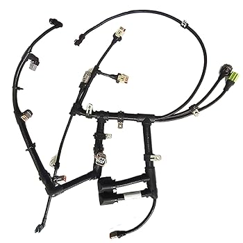 Amazon.com: 3979318 Electronic Control Module Harness